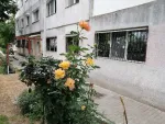 Vanzare apartament - Miniatura 8