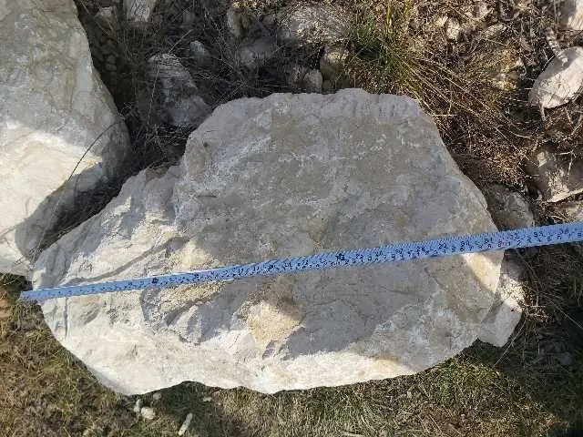 Bolovani calcar 50- 80 cm Piatra calcar gabioane Bucuresti si ilfov, Chitila, Mogosoaia, Otopeni, Buftea, Corbeanca, Voluntari, - Imaginea 5