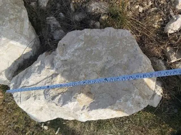 Bolovani calcar 50- 80 cm Piatra calcar gabioane Bucuresti si ilfov, Chitila, Mogosoaia, Otopeni, Buftea, Corbeanca, Voluntari, - Imaginea 5