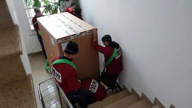 Transport Mobila si Servicii de Mutari - Imaginea 4
