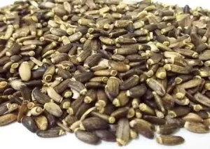 Armurariu fructe vrac en- gros si en- detail
