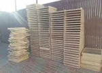 RAME TEI, STUPI, HRANITOARE si DIAFRAGME LA PRET DE PRODUCATOR - Miniatura 3