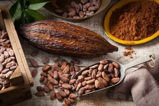 procesare  cacao germania - Imaginea 1