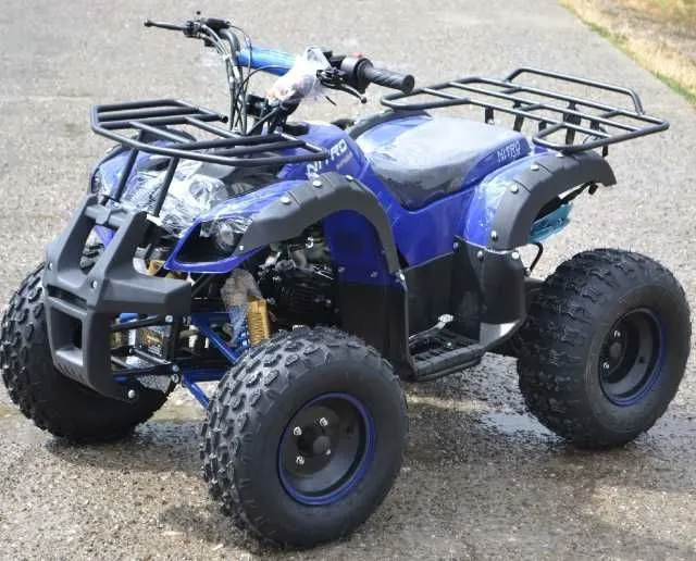 Atv The Hummer 125cc, Roti de 8 Inch, import Germania - Imaginea 4