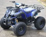 Atv The Hummer 125cc, Roti de 8 Inch, import Germania - Miniatura 4