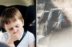 Igienizare habitaclu auto