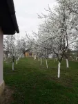 Teren cu doua case in Urmenis, Bistrita Nasaud - Miniatura 1