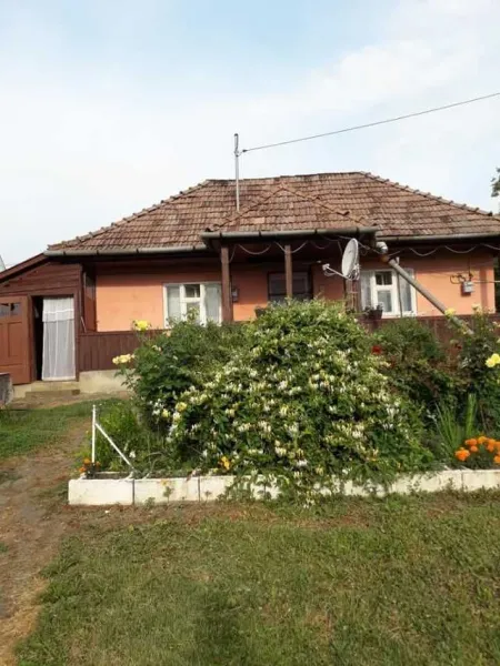 Teren cu doua case in Urmenis, Bistrita Nasaud - Imaginea 3