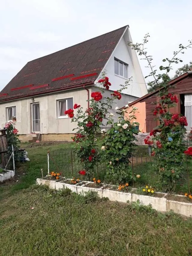Teren cu doua case in Urmenis, Bistrita Nasaud - Imaginea 4