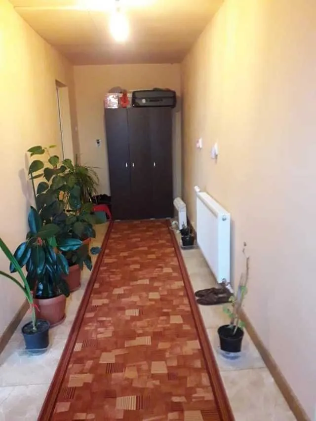 Teren cu doua case in Urmenis, Bistrita Nasaud - Imaginea 5
