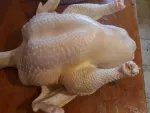 Vand curci de carne crescute in mediu curat si sanatos - Miniatura 2