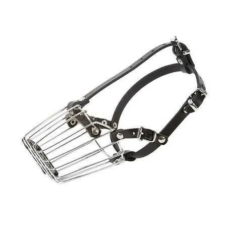 Botnita profesionala pentru Jack Russel, ABC Sport Klin - Imaginea 1