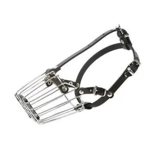 Botnita profesionala pentru Jack Russel, ABC Sport Klin