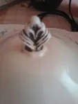 Zaharnita din portelan de Bavaria - Miniatura 2