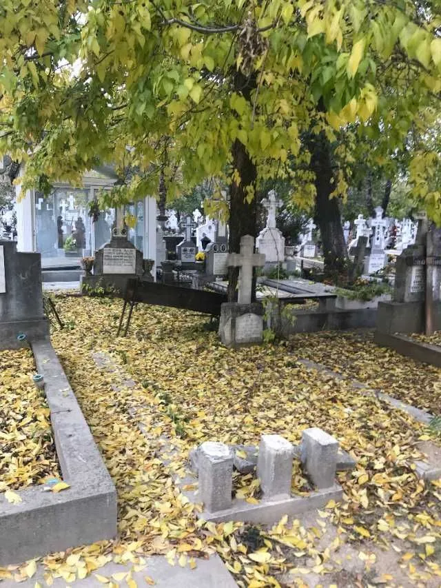 loc de veci in cimitirul Izvorul Nou - Imaginea 3