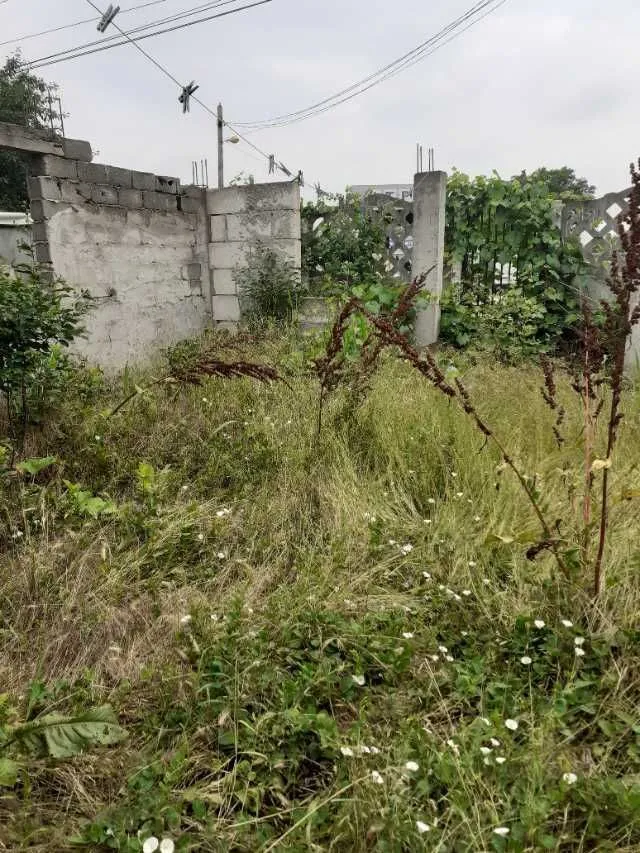SAT MOGOSESTI LA 14 KM DE BUC VINDEM CASA 3 CAMERE 260 MP CASH - Imaginea 5