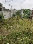 SAT MOGOSESTI LA 14 KM DE BUC VINDEM CASA 3 CAMERE 260 MP CASH - Miniatura 5