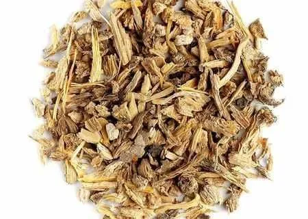 Angelica radacina uscata vrac en- gros si en- detail - Imaginea 1