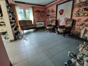 spatiu comercial vanzare