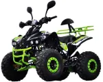 PRODUS NOU: Atv  Nitro Quad Warrior 125cc NEW GERMANY 2020! ! - Miniatura 2