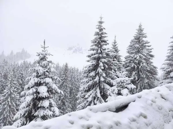 Taxi montan in Sinaia si imprejurimi - Imaginea 2
