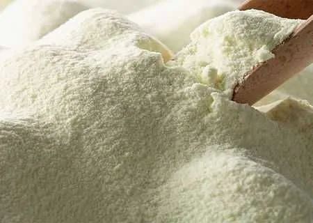 Lapte praf – Proteina lapte Vrac - Imaginea 1