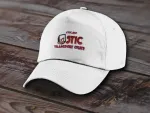 STIC Transport colete, autoturisme, marfa paletizata  Romania ⇄  Anglia - Miniatura 2
