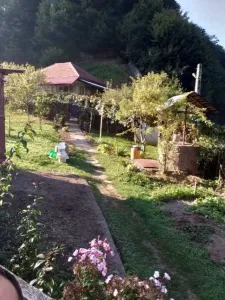 Vind casa la munte
