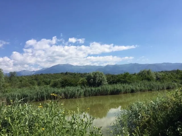 Vand domeniu intravilan cu 2 lacuri de pescuit, Racovita, Sibiu - Imaginea 1