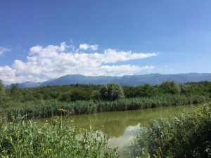 Vand domeniu intravilan cu 2 lacuri de pescuit, Racovita, Sibiu