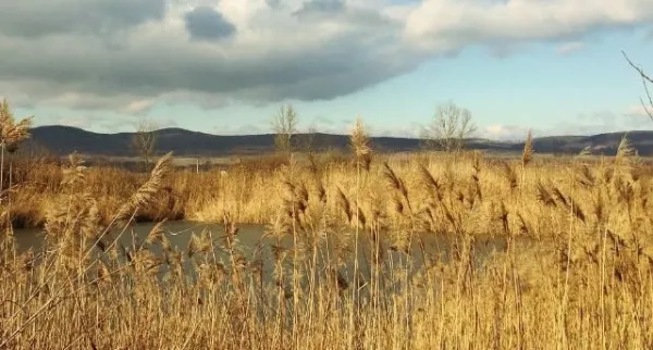 Vand domeniu intravilan cu 2 lacuri de pescuit, Racovita, Sibiu - Imaginea 2