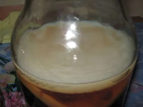 Cultura Kombucha - Imaginea 3