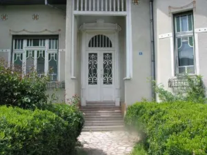 Vand Casa Brad strada Horia