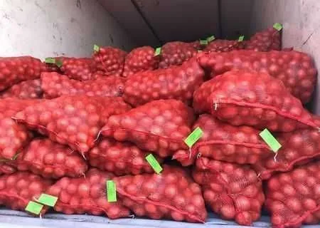 Ceapa import en- gros - Imaginea 1
