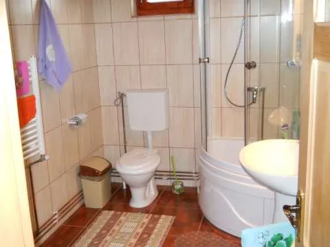 imobil Branesti - Imaginea 4