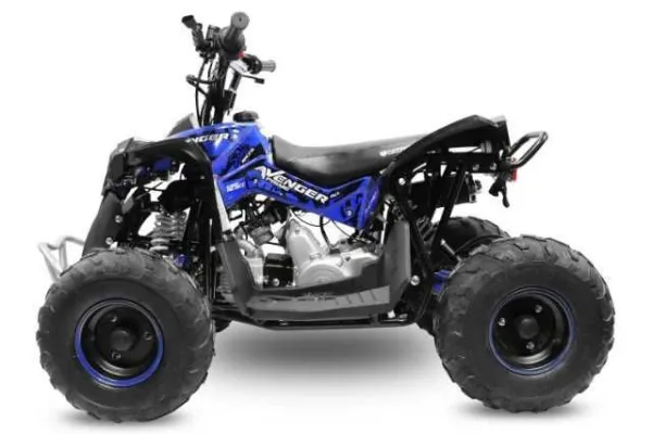 Atv125Cc Avenger Deluxe - Imaginea 3