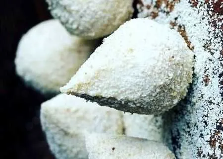 Gnocchi umpluti – Nou in Romania - Imaginea 2