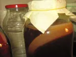 Cultura Kombucha - Miniatura 5
