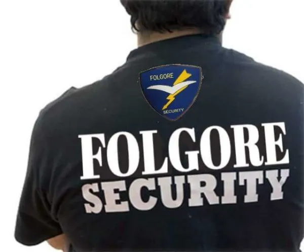 Folgore Security - Imaginea 1