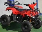 Atv Nitro T- Rex 125cc Cutie Automata - Miniatura 2