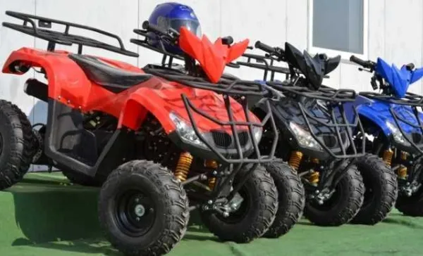 Atv Nitro T- Rex 125cc Cutie Automata - Imaginea 4