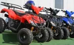 Atv Nitro T- Rex 125cc Cutie Automata - Miniatura 4