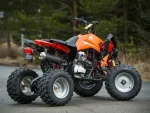 Atv Nou Model: Akp Carbon Speedy 150cmc Garantie 12Luni - Miniatura 3