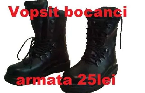 VOPSITORIE HAINE DIN PIELE SI INCALTAMINTE - Imaginea 1