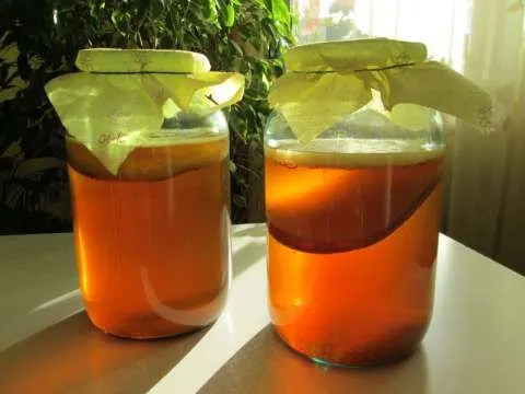 Cultura Kombucha - Imaginea 7