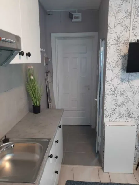 Dau in chirie apartament - Imaginea 5
