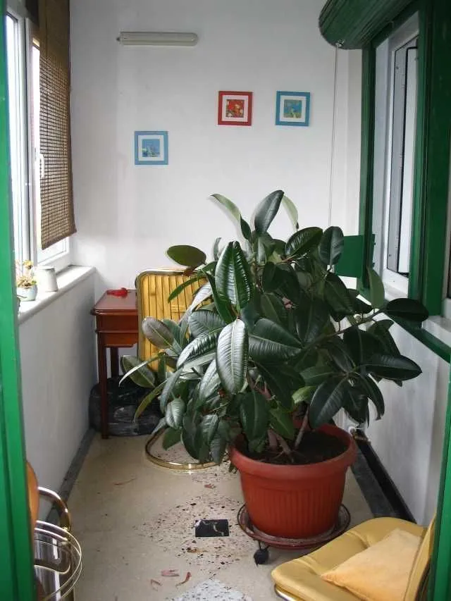 Apartament unicat, mare, in Bucuresti 2, la et. 6/ 10, bloc turn regim special - Imaginea 3