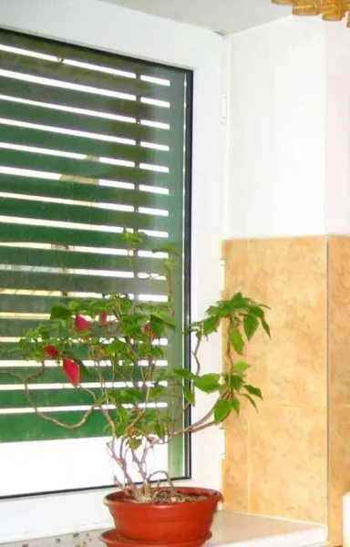 Apartament unicat, mare, in Bucuresti 2, la et. 6/ 10, bloc turn regim special - Imaginea 5
