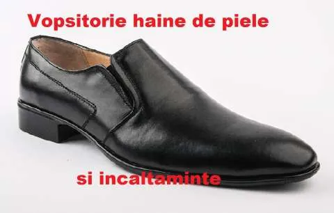 VOPSITORIE HAINE DIN PIELE SI INCALTAMINTE - Imaginea 3