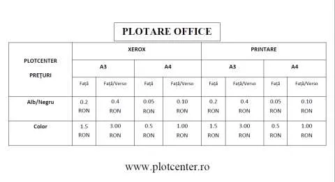 Centru de Plotare, Printare, Multiplicare - Imaginea 2